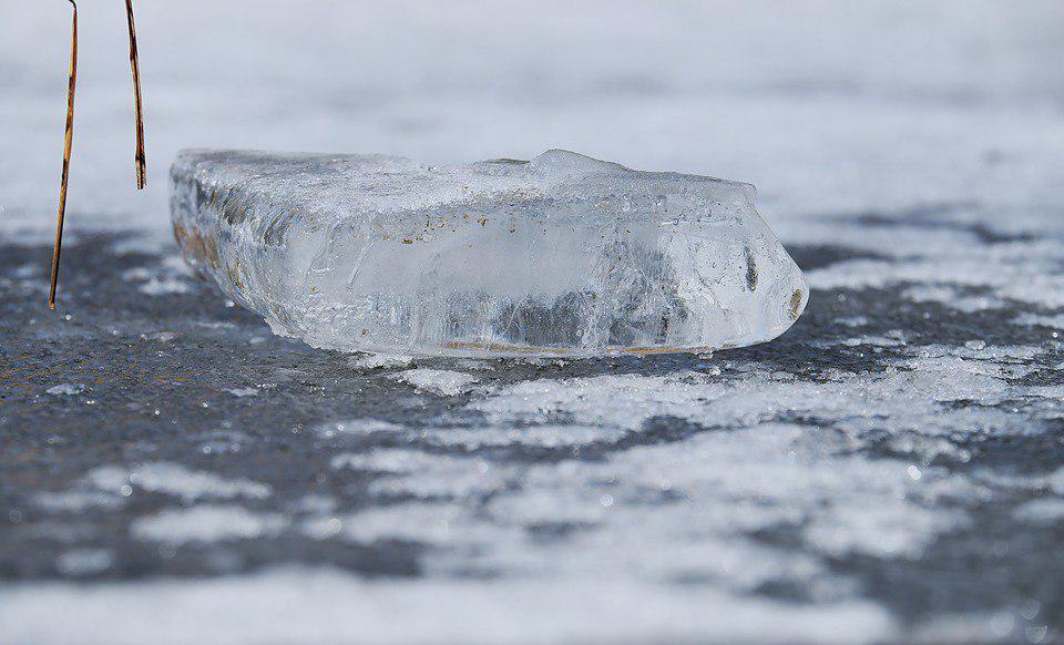 Катки с натуральным льдом в Сокольниках закрылись из-за погодных условий