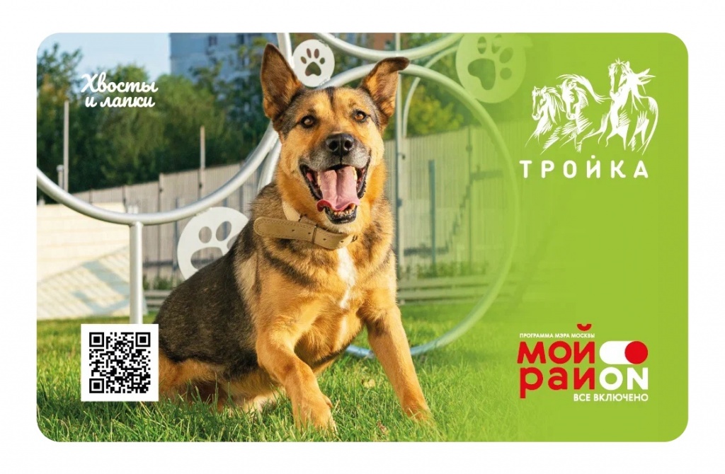 Питомцы в Москве: новая карта «Тройка» посвящена уникальным площадкам для собак