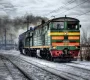 Компания Cargoservice Фото 2 на сайте Sokolniki24.ru