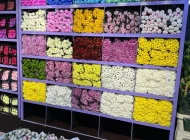 Цветочный рынок ЦветыОптом.РФ Фото 7 на сайте Sokolniki24.ru