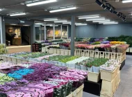 Цветочный рынок ЦветыОптом.РФ Фото 6 на сайте Sokolniki24.ru