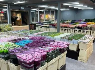 Цветочный рынок ЦветыОптом.РФ Фото 4 на сайте Sokolniki24.ru