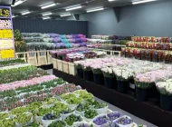 Цветочный рынок ЦветыОптом.РФ Фото 8 на сайте Sokolniki24.ru