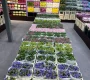 Цветочный рынок ЦветыОптом.РФ Фото 2 на сайте Sokolniki24.ru