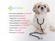 Ветеринарная служба Vetdocs на улице Шумкина Фото 10 на сайте Sokolniki24.ru
