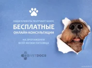Ветеринарная служба Vetdocs на улице Шумкина Фото 4 на сайте Sokolniki24.ru