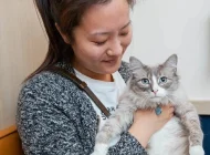Ветеринарная служба Vetdocs на улице Шумкина Фото 14 на сайте Sokolniki24.ru