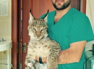 Ветеринарная служба Vetdocs на улице Шумкина Фото 19 на сайте Sokolniki24.ru