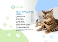 Ветеринарная служба Vetdocs на улице Шумкина Фото 7 на сайте Sokolniki24.ru