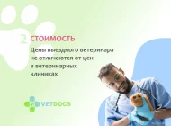 Ветеринарная служба Vetdocs на улице Шумкина Фото 8 на сайте Sokolniki24.ru