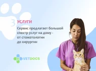Ветеринарная служба Vetdocs на улице Шумкина Фото 13 на сайте Sokolniki24.ru