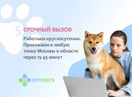 Ветеринарная служба Vetdocs на улице Шумкина Фото 1 на сайте Sokolniki24.ru