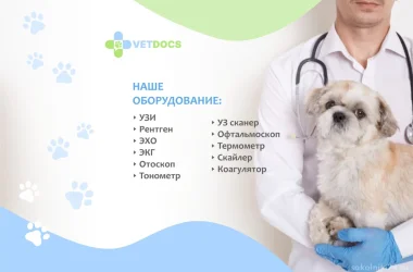 Ветеринарная клиника Vetdocs на улице Шумкина Фото 2 на сайте Sokolniki24.ru