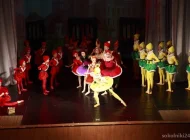 Студия классического русского балета Шене Фото 2 на сайте Sokolniki24.ru