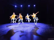 Танцевальная и театральная студия для детей Ирбис в Сокольниках Фото 8 на сайте Sokolniki24.ru