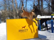 Dogcity Фото 1 на сайте Sokolniki24.ru