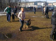 Dogcity Фото 4 на сайте Sokolniki24.ru